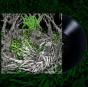 Gloomlord - Vinil - Preview