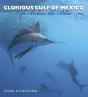 Glorious Gulf Of Mexico - Preview