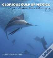 Glorious Gulf Of Mexico