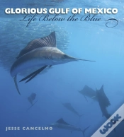 Capa do artigo Glorious Gulf Of Mexico
