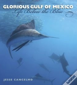 Capa do artigo Glorious Gulf Of Mexico