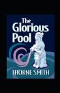 Glorious Pool, The Annotated - Preview