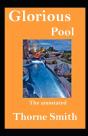 Glorious Pool, The Annotated - Preview