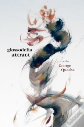 Glossodelia Attract