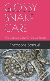 Glossy Snake Care