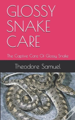 Capa do artigo Glossy Snake Care