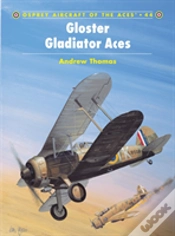 Capa do artigo Gloster Gladiator Aces