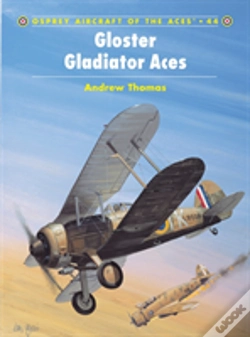 Capa do artigo Gloster Gladiator Aces