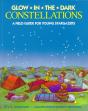 Glow-In-The-Dark Constellations - Preview
