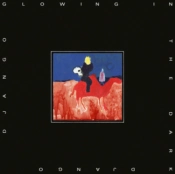 Capa do artigo Glowing in the Dark - Vinil