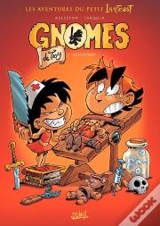 Gnomes De Troy Tome 2 : Sales Mômes