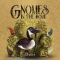 Gnomes In The Home - Preview