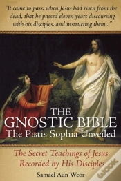 Capa do artigo Gnostic Bible