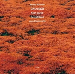 Capa do artigo Gnu High - Vinil