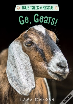 Capa do artigo Go, Goats!