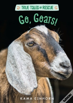 Capa do artigo Go, Goats!