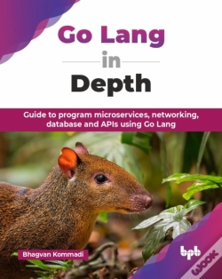 Capa do artigo Go Lang In Depth