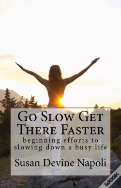 Capa do artigo Go Slow Get There Faster