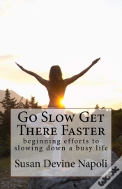 Capa do artigo Go Slow Get There Faster