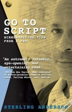 Capa do artigo Go To Script