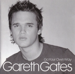 Capa do artigo Go Your Own Way - CD