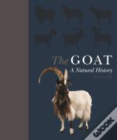 Goat