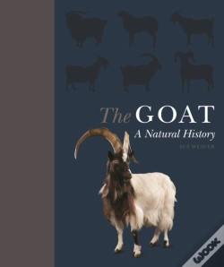 Capa do artigo Goat