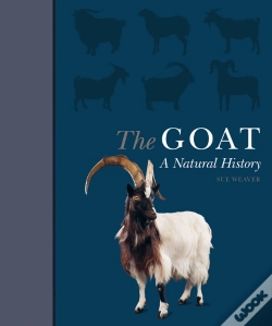 Capa do artigo Goat