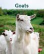 Goats - Preview