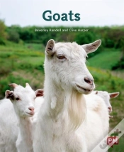 Capa do artigo Goats
