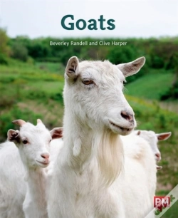 Capa do artigo Goats