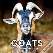 Goats Calendar 2021