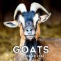 Goats Calendar 2021 - Preview