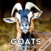 Goats Calendar 2021
