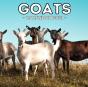 Goats Calendar 2021 - Preview