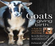 Goats Giving Birth