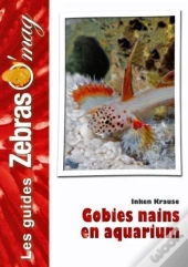 Gobies Nains En Aquarium