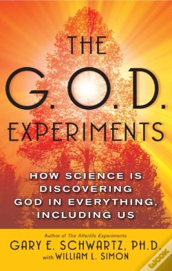 Capa do artigo G.O.D. Experiments