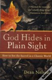 Capa do artigo God Hides In Plain Sight