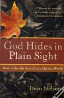 Capa do artigo God Hides In Plain Sight