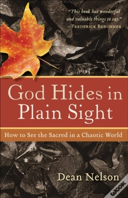 Capa do artigo God Hides In Plain Sight