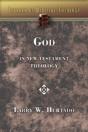 God In New Testament Theology - Preview