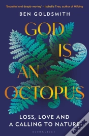 Capa do artigo God Is An Octopus