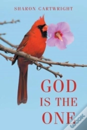 Capa do artigo God Is The One