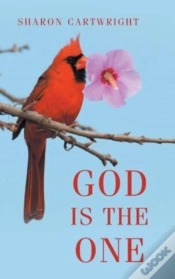 Capa do artigo God Is The One