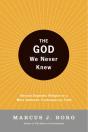 God We Never Knew - Preview