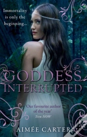 Capa do artigo Goddess Interrupted