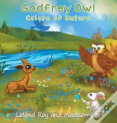 Godfrey Owl