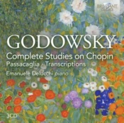 Capa do artigo Godowsky: Complete Studies On Chopin/Passacaglia/Transcriptions - CD
