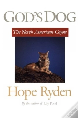 Capa do artigo God'S Dog